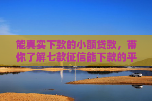 能真实下款的小额贷款，带你了解七款征信能下款的平台