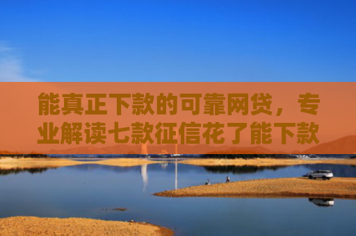 能真正下款的可靠网贷，专业解读七款征信花了能下款平台
