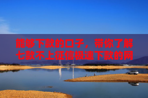 能够下款的口子，带你了解七款不上征信极速下款的网贷