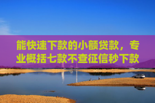 能快速下款的小额贷款，专业概括七款不查征信秒下款的网贷app