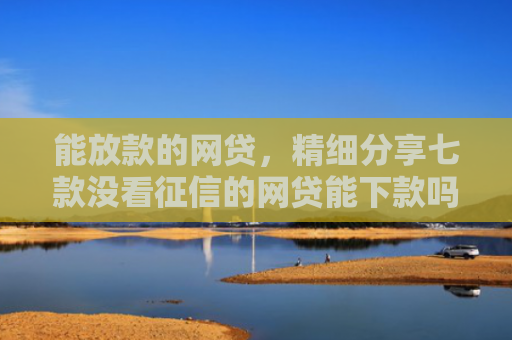 能放款的网贷，精细分享七款没看征信的网贷能下款吗