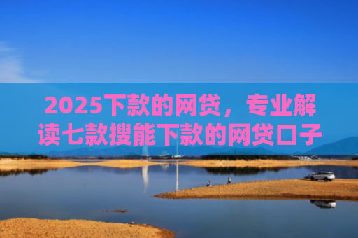2025下款的网贷，专业解读七款搜能下款的网贷口子