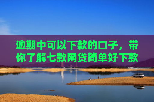 逾期中可以下款的口子，带你了解七款网贷简单好下款的口子