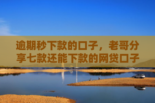 逾期秒下款的口子，老哥分享七款还能下款的网贷口子多么