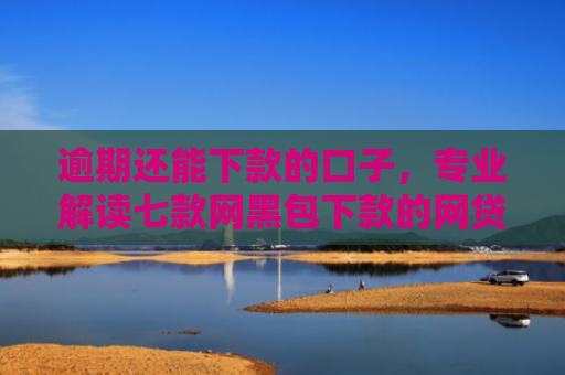 逾期还能下款的口子，专业解读七款网黑包下款的网贷口子