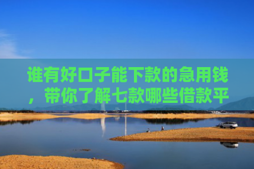 谁有好口子能下款的急用钱，带你了解七款哪些借款平台征信花了可以下款