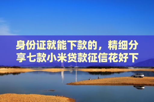 身份证就能下款的，精细分享七款小米贷款征信花好下款吗