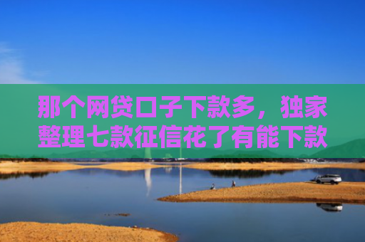 那个网贷口子下款多，独家整理七款征信花了有能下款网贷吗