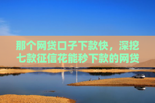 那个网贷口子下款快，深挖七款征信花能秒下款的网贷