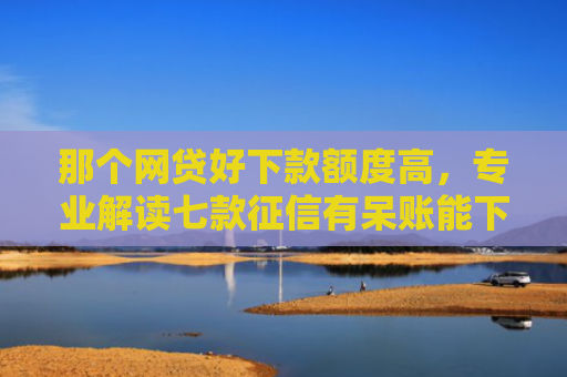 那个网贷好下款额度高，专业解读七款征信有呆账能下款的网贷