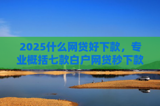 2025什么网贷好下款，专业概括七款白户网贷秒下款口子