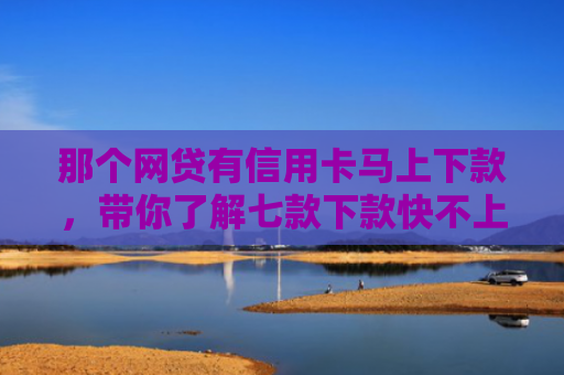 那个网贷有信用卡马上下款，带你了解七款下款快不上征信网贷平台