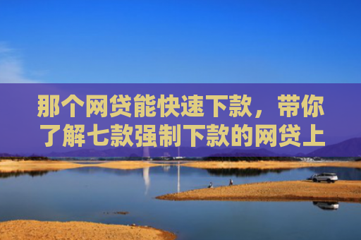 那个网贷能快速下款，带你了解七款强制下款的网贷上征信嘛