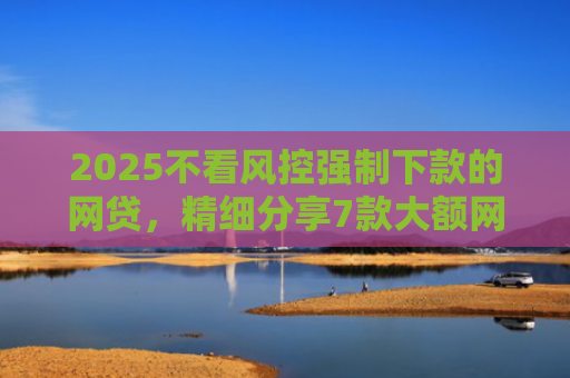 2025不看风控强制下款的网贷，精细分享7款大额网贷下款口子