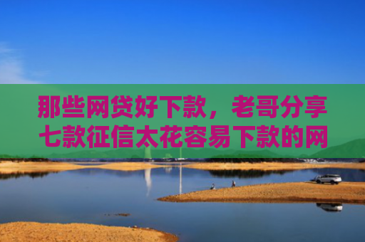 那些网贷好下款，老哥分享七款征信太花容易下款的网贷