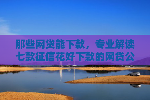 那些网贷能下款，专业解读七款征信花好下款的网贷公司