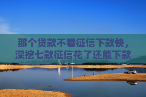 那个贷款不看征信下款快，深挖七款征信花了还能下款的网贷
