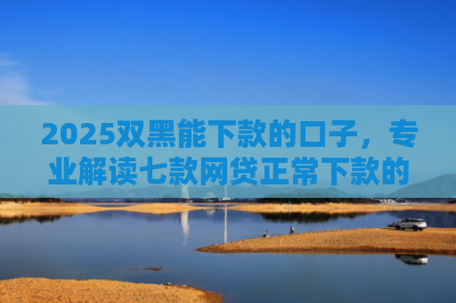2025双黑能下款的口子，专业解读七款网贷正常下款的老口子