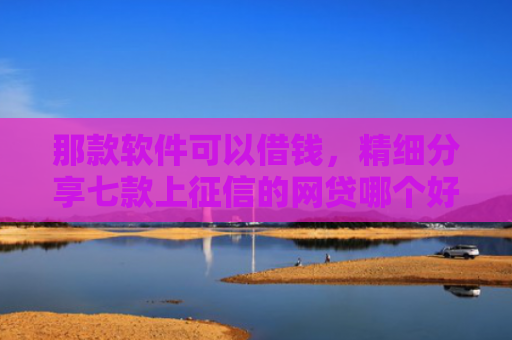 那款软件可以借钱，精细分享七款上征信的网贷哪个好下款