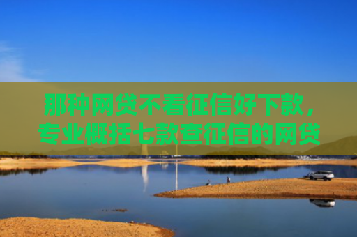 那种网贷不看征信好下款，专业概括七款查征信的网贷能下款吗