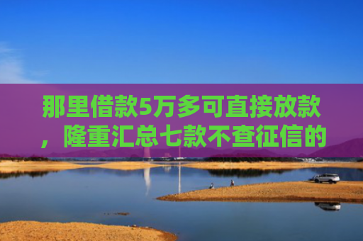那里借款5万多可直接放款，隆重汇总七款不查征信的网贷也不下款