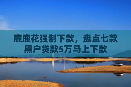 鹿鹿花强制下款，盘点七款黑户贷款5万马上下款