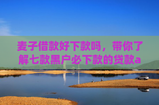 麦子借款好下款吗，带你了解七款黑户必下款的贷款app2025