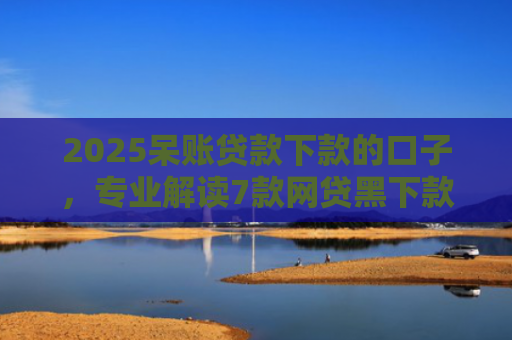 2025呆账贷款下款的口子，专业解读7款网贷黑下款口子网贷之家