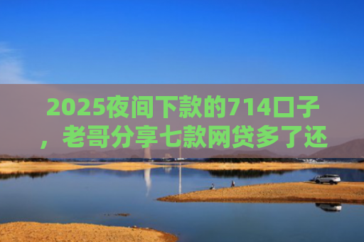 2025夜间下款的714口子，老哥分享七款网贷多了还能下款的口子